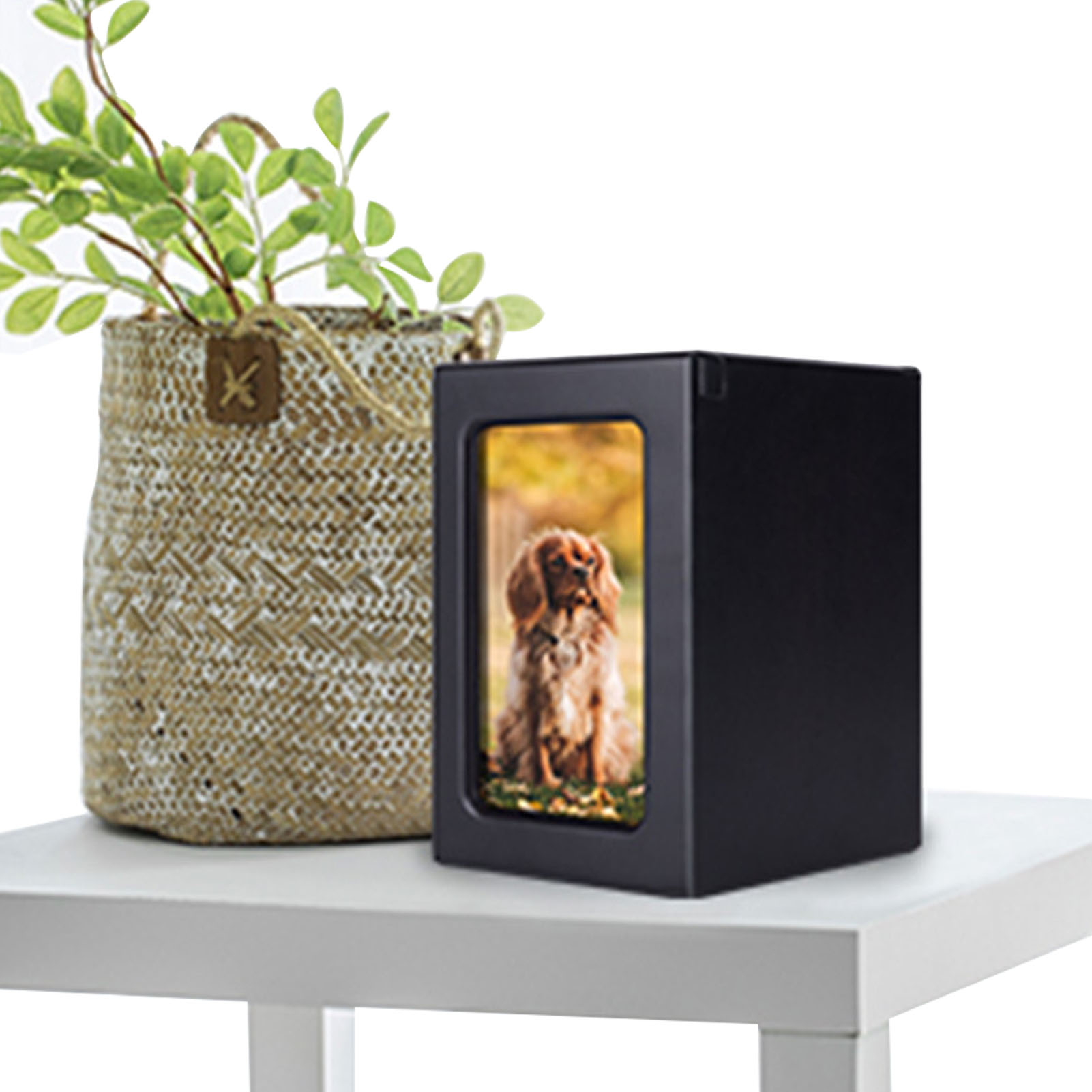 Wooden Pet Urns Wooden Cremati - Engraved Wood Frame recension och pris