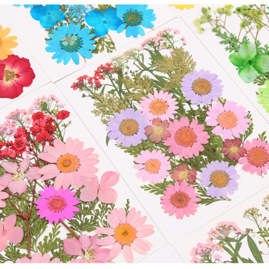 Un-dyed Natural Pressed Dried  - Dried Flower Bookmark recension och pris