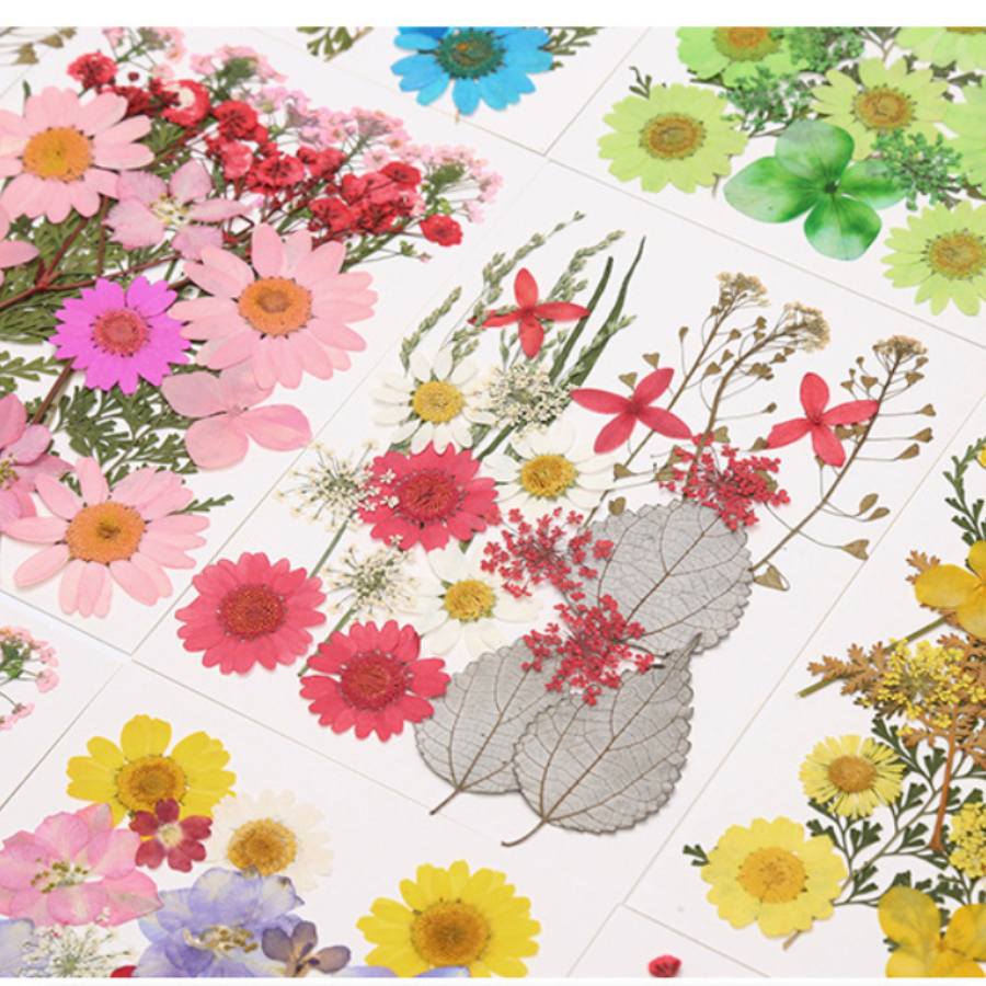 Un-dyed Natural Pressed Dried  - Dried Flower Bookmark recension och pris