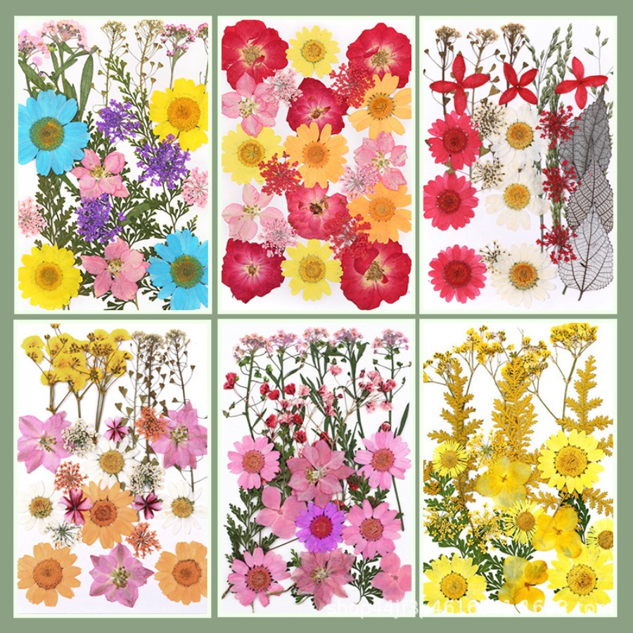 Un-dyed Natural Pressed Dried  - Dried Flower Bookmark recension och pris