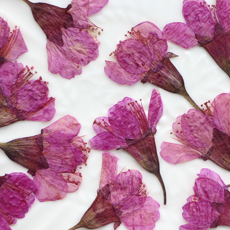 36Pcs Natural Dried Flower Pre - Dried Flower Bookmark recension och pris