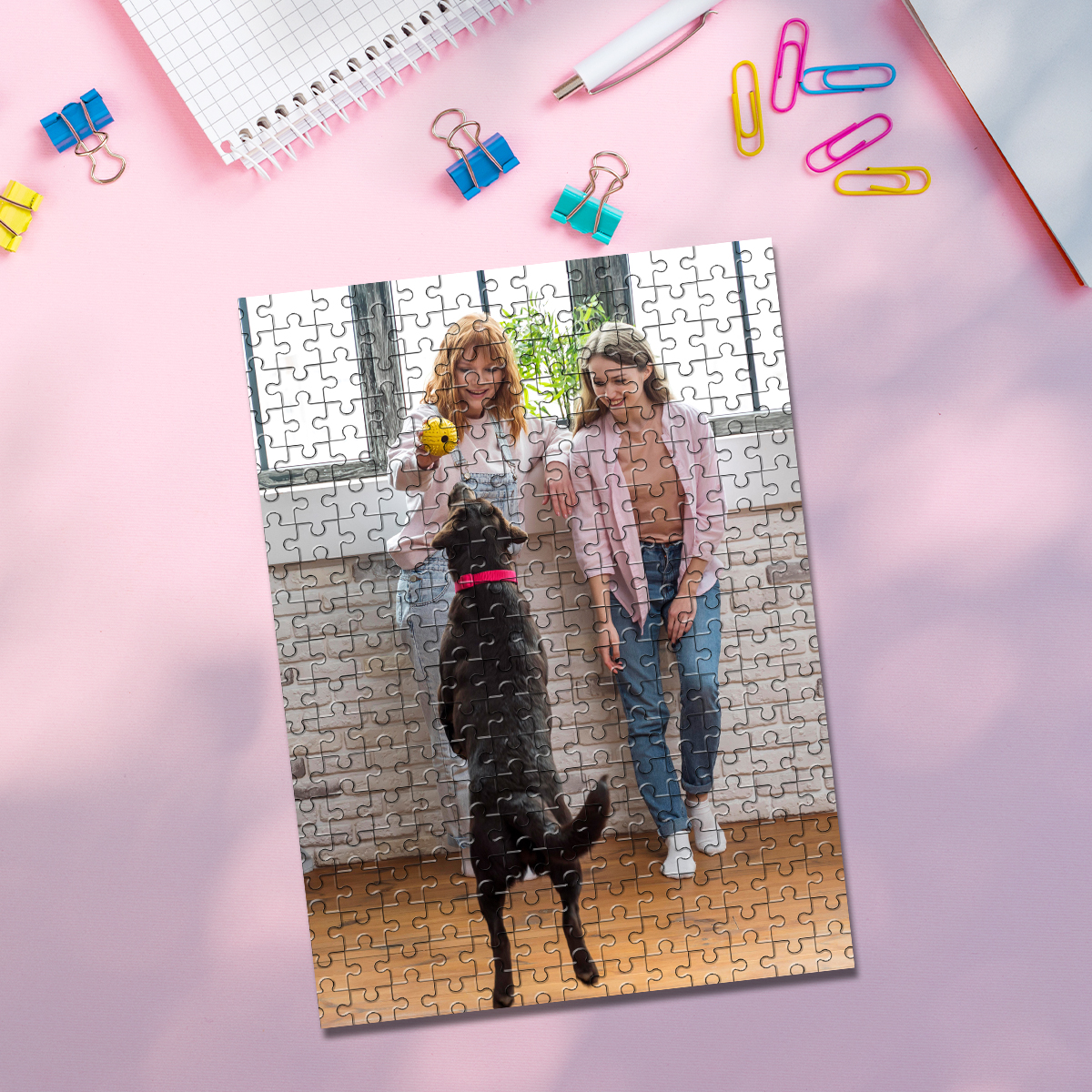 35/150/300/500/1000pcs Persona - Pet Portrait Custom recension och pris