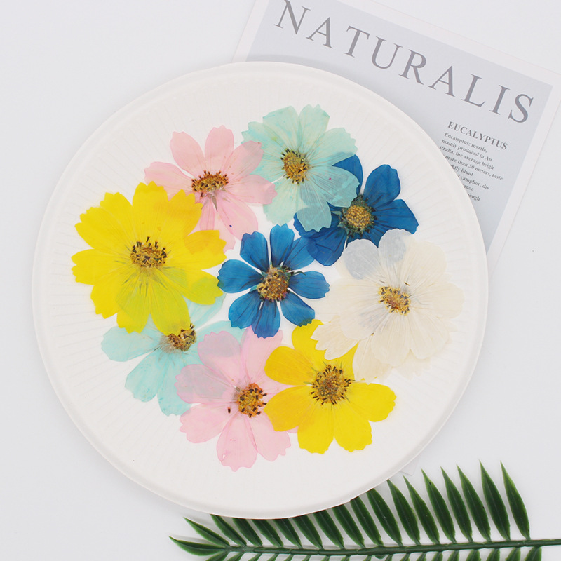 36Pcs Large Cosmos Flower Drie - Dried Flower Bookmark recension och pris