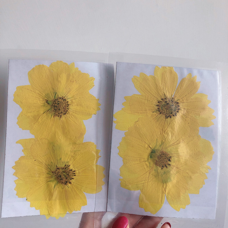 36Pcs Large Cosmos Flower Drie - Dried Flower Bookmark recension och pris