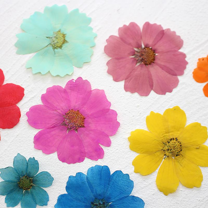 36Pcs Large Cosmos Flower Drie - Dried Flower Bookmark recension och pris