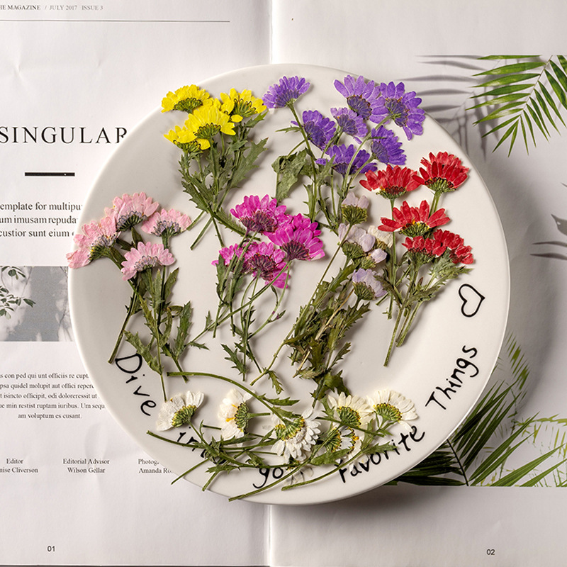 5-8cm/24pcs,Side pressed cryst - Dried Flower Bookmark recension och pris